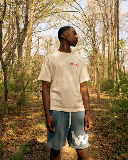 WAR FOR HD CLOUD WASH FLEECE SHORTS